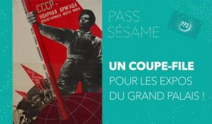 Pass Sésame : les expos en illimité au Grand Palais !