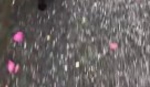 Les Internautes Parodient Un étudiant Qui Se Cogne La Tête