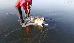 Ces russes sauvent un chien piégé sur un lac gelé