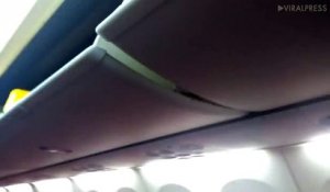 Un Scorpion mortel s'introduit dans un avion et crée la panique