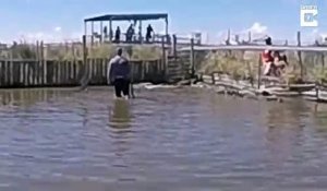 Ce jeune s'amuse à marcher dans l'eau avec des crocodiles et va frôler le drame...