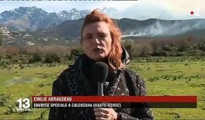 Incendies en Corse : la piste criminelle sérieusement envisagée