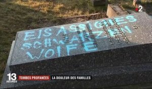 Tombes profanées en Alsace : les familles confient leur douleur