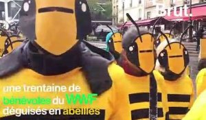 Des bénévoles du WWF déguisés en abeilles
