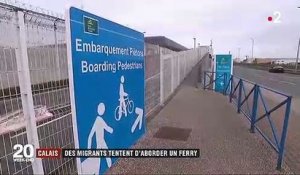 Calais : des migrants tentent de s'introduire à bord d'un ferry