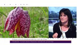 TILT - 04/03/2019 Partie 2 - Préservons la biodiversité du Loir-et-Cher
