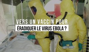 Vers un vaccin pour éradiquer le virus Ebola