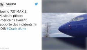 Boeing 737 MAX 8. Plusieurs pilotes américains avaient rapporté des incidents fin 2018