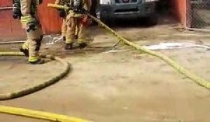 Cet homme courageux se jette dans le feu pour sauver son chien (Californie)