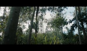 La Miséricorde de la jungle  film