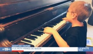 Un Chat Qui Joue Du Piano Sur Orange Videos