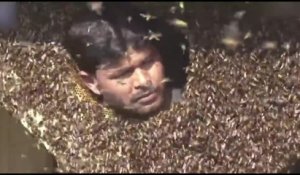 Cet homme n'a pas peur des abeilles