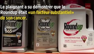 Monsanto : selon un jury, le Roundup a bien contribué au cancer du plaignant