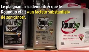Monsanto : selon un jury, le Roundup a bien contribué au cancer du plaignant