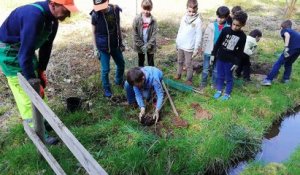 Des enfants de l'école Saint-Laurent d'Épinal plantent des arbres au jardin partagé de la 40 Semaine