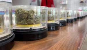 Comment fonctionne le business du cannabis en Californie ?