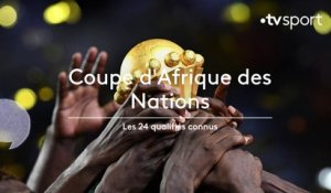 Coupe d'Afrique des Nations 2019 : les 24 qualifiés connus