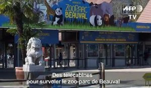 Au zoo de Beauval, des télécabines pour survoler les animaux