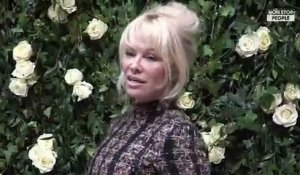 Pamela Anderson remontée contre la télé-réalité : Matthieu Delormeau la flingue