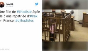 Une fillette de 3 ans, enfant d’une djihadiste condamnée en Irak, rapatriée en France