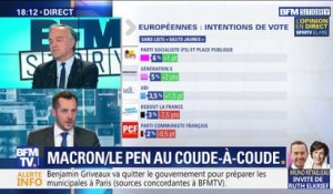 Européennes: Emmanuel Macron et Marine Le Pen au coude-à-coude (2/2)