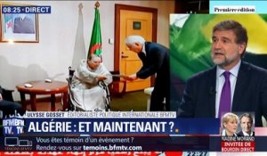 Focus Première : Que va-t-il se passer en Algérie après la démission d'Abdelaziz Bouteflika ?