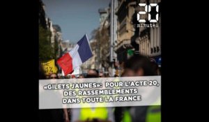 «Gilets jaunes»: Des rassemblements dans toute la France pour l'acte 20