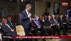 Remaniement / conseiller territorial / grand débat - Sénat 360 (01/04/2019)