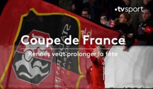 Coupe de France : Rennes veut prolonger la fête