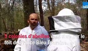 les ruches France Bleu Touraine volet 1