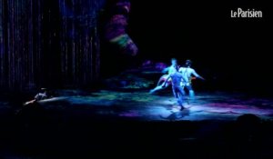 Le Cirque du Soleil donne vie à Avatar