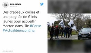 Des drapeaux corses et une poignée de Gilets jaunes pour accueillir Macron dans l’île