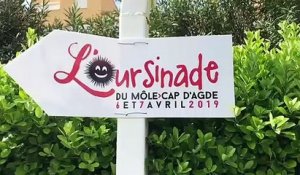 L'oursinade 2019 au Cap d'Agde