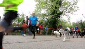 Tous mordus du 4e crosscanin du refuge animalier Saint-Roch à Valence