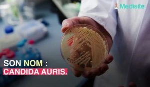 C.auris : ce germe mortel se propage dans le monde.