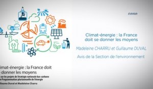 Climat-Énergie : la France doit se donner les moyens - Avis sur les projets de SNBC et de PPE - cese