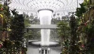 L'aéroport de Singapour met la nature sous dôme