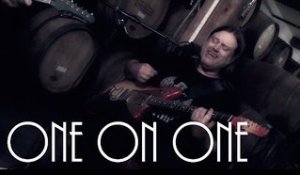 ONE ON ONE: Matthew Sweet July 18th, 2014 City Winery New York Full Session