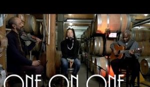 ONE ON ONE: Martha Redbone Roots Project January 5th, 2016 City Winery New York Full Session