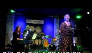 ONE ON ONE: Diane Garisto - Sweet Blindness January 29th, 2017 City Winery New York