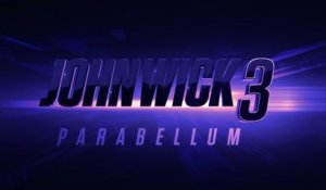 John Wick 3 Parabellum |2019| WebRip en Français (HD 720p)
