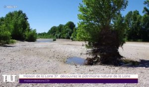 TILT - 15/04/2019 Partie 3 - Maison de la Loire 37 : découvrez le patrimoine naturel de la Loire