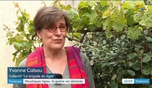 Toulouse : moustiques tigres, la guerre est déclarée