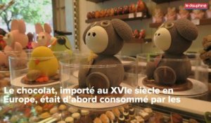 [VIDEO] Grenoble : le chocolat dans tous ses états