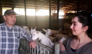 De ferme en ferme : le Gaec des Baratons ouvre les 27 et 28 avril