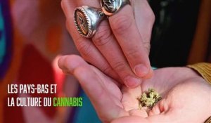 Pays-Bas : il milite pour la culture du cannabis