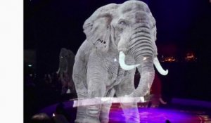 Des animaux en hologrammes dans les cirques !