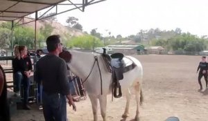 Un cheval aide une cavalière