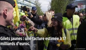 Gilets jaunes : les annonces de Macron estimées à 17 milliards d'euros