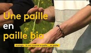 Environnement : des pailles en paille bientôt fabriquées en Normandie